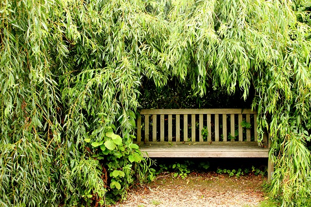 De charme van een houten tuinbank: esthetiek en comfort in je eigen achtertuin